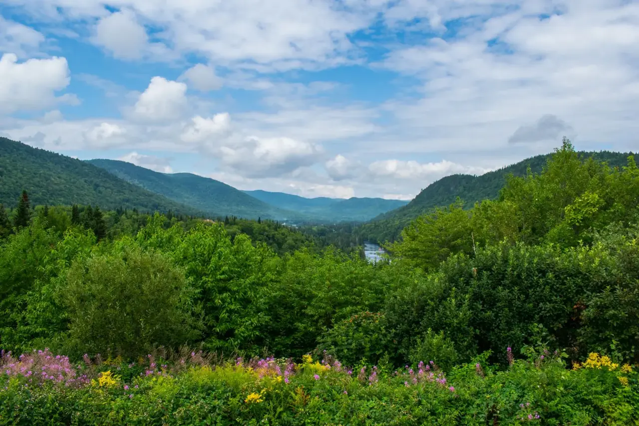 Rivière en Estrie