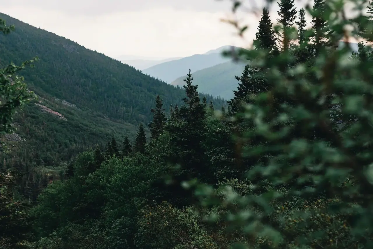 Quai en Gaspésie